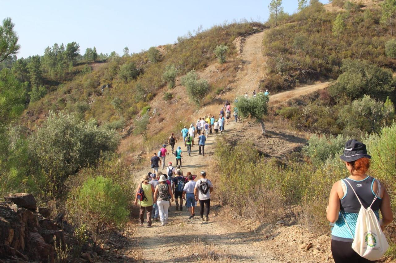 Proença-a-Nova Casa Rural Pucaricas - Country & Nature מראה חיצוני תמונה